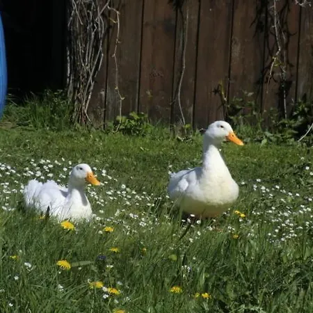 Vakantieboerderij Bunzbauernhof